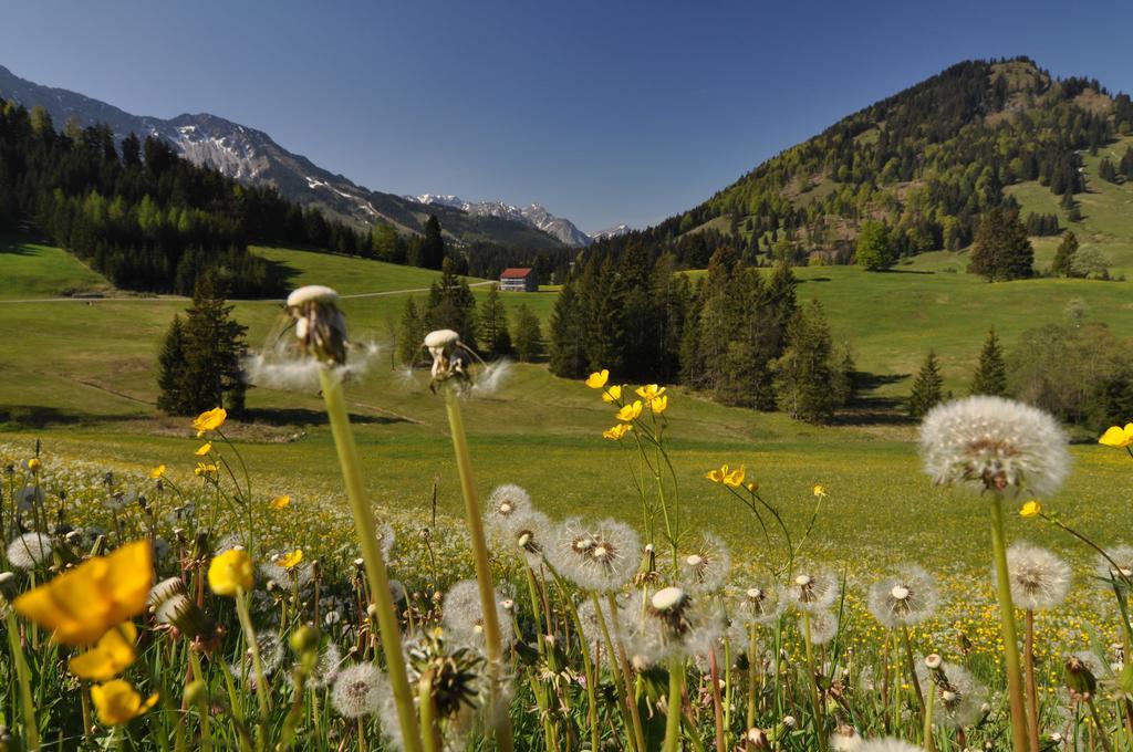 Landhotel Berghof Bad Hindelang Oda fotoğraf