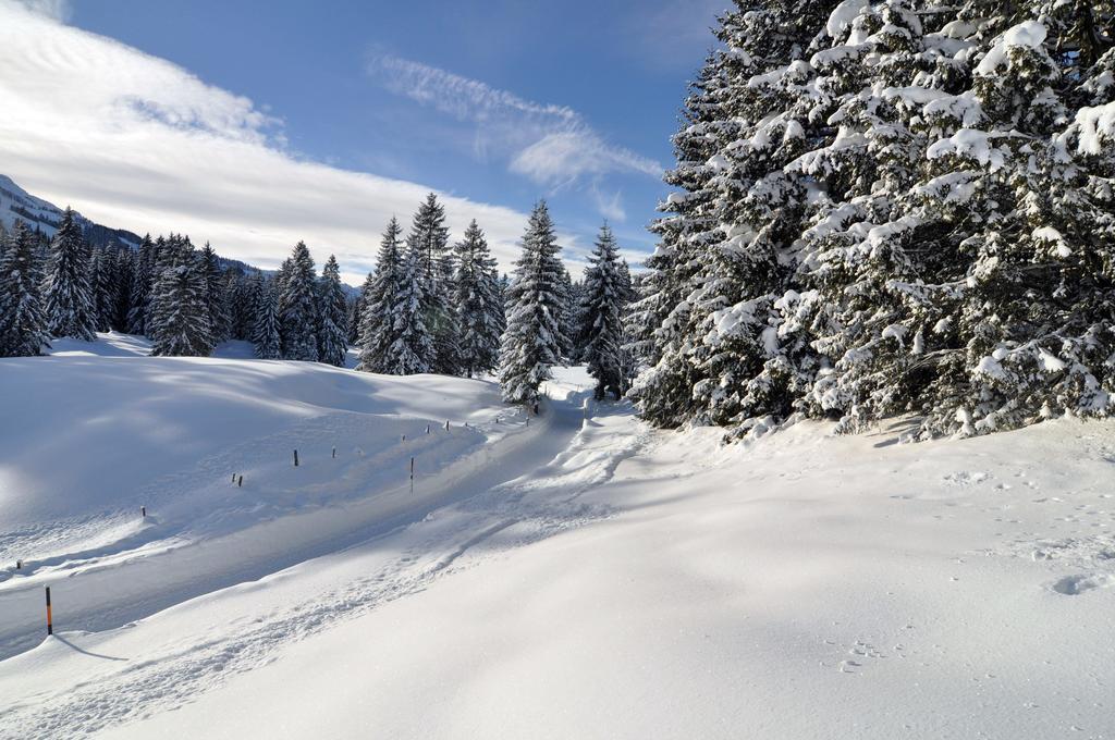 Landhotel Berghof Bad Hindelang Dış mekan fotoğraf